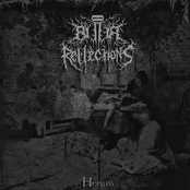 Hopeless by Bitter Reflections