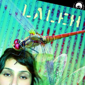 Tell Me by Laleh