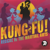 kung fu! reggae vs the martial arts