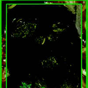 Foul Fragrance Of Fermentation