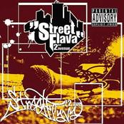 Street Flava 2nd Avenue