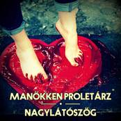 Nagylátószög