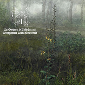 Eu Gostaria De Definhar Até Desaparecer Desta Existência