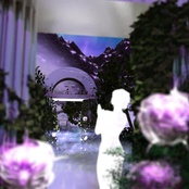 Dream Eden
