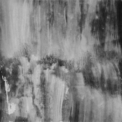 I Used to Be Sustain but Now I Am Living in Vibrato