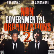 Non Governmental Organizations 2