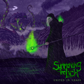 Summoning The Lich: Cult of the Ophidian