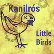 Little Birds
