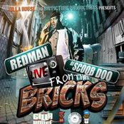 How The Bricks Get Down by Redman