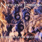 Parva Anguilla by Nocturnal Emissions