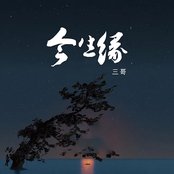 今生缘
