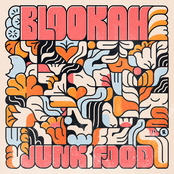 Blookah: Junk Food