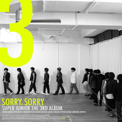 Sorry, Sorry by Super Junior