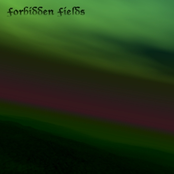 Field I - Night