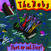 Something In My Ear by The Bobs
