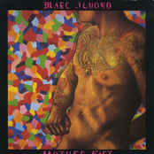 The Hustler by Marc Almond