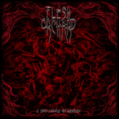 A Vile Display of Carnage