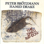 peter brötzmann / hamid drake