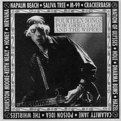 Fourteen Songs for Greg Sage and the Wipers