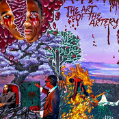 THE ART OF THE ARTERY.