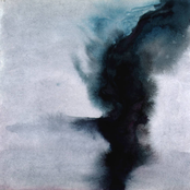 Lost in the Beautiful Noise