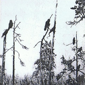 Les Corbeaux de mes Funérailles