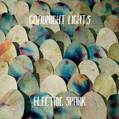 Goodnight Lights: Electric Spark