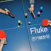Fluke