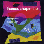 Bad Birdie by Thomas Chapin Trio