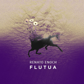 Flutua