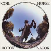 Horse Rotorvator
