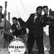 big sandy and the fly-rite trio