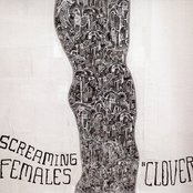 Screaming Females - Clover Artwork