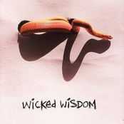 Bleed All Over Me by Wicked Wisdom