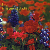 Lilys: In the Presence of Nothing