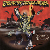 Ancient Termites