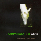 kampanella : is white