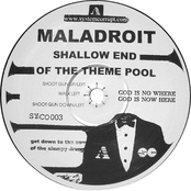 Shallow End Of The Theme Pool
