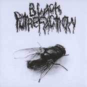 Black Putrefaction / Crucivomitorial Gorebutcher