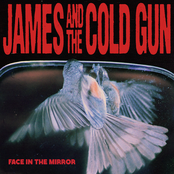 James And The Cold Gun: Face in the Mirror