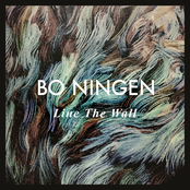 Shin Ichi by Bo Ningen