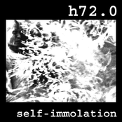 Self-Immolation