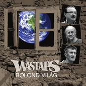Bolond Világ