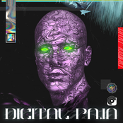 DIGITAL PA.IN