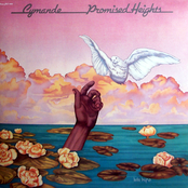 Cymande: Promised Heights