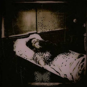 The Visions of the Flies