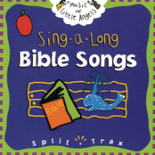 Sing-A-Long Bible Songs