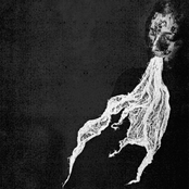 The Shape of Absence