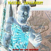 Blood Sex And Madness