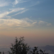 The Silence Was Warm, Vol. 3